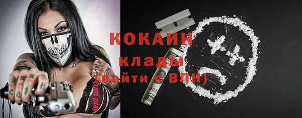 шишки Лихославль