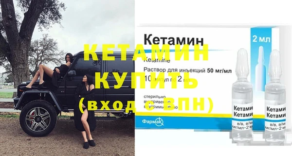 крисы Инта