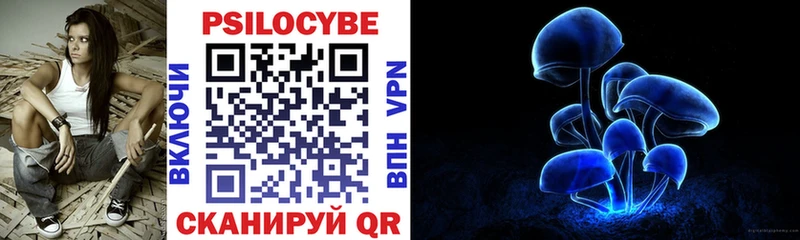 продажа наркотиков  Белая Холуница  Галлюциногенные грибы прущие грибы 